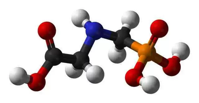 Is Monsanto's Roundup Behind the Global Explosion of Celiac Disease?