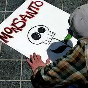 Is Roundup by Monsanto Behind Skyrocketing Celiac Disease?