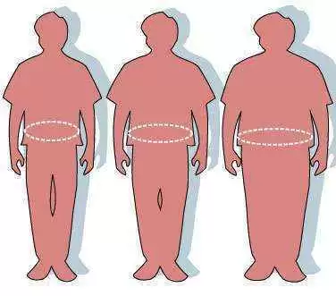 Does Obesity Play a Major Role in Triggering Autoimmune Diseases? - Image: Wikimedia Commons--Victovoi