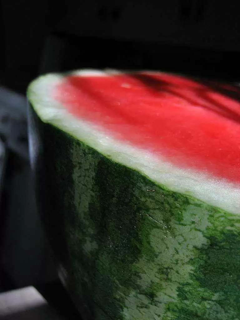 Fresh Melon with Avocado Salad with Lime (Gluten-Free) - Watermelon awaits slicing. Photo: CC--WayTru