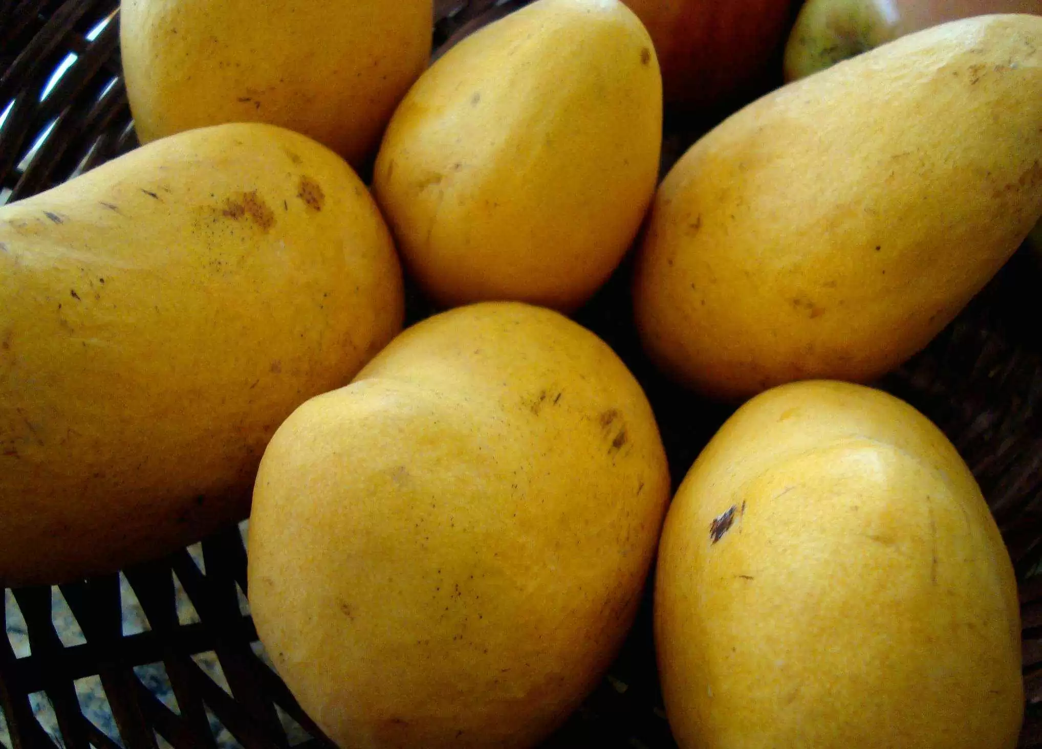 Is Mango Flour the Next Hot Gluten-free Alternative? - Is flour from mangoes the next hot gluten-free trend? Photo: CC--S. Alexis