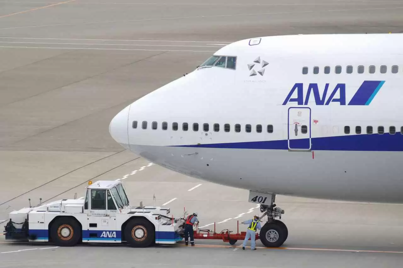 Did Japan's ANA Airlines Really Give a Single Banana as a Gluten-free Meal?