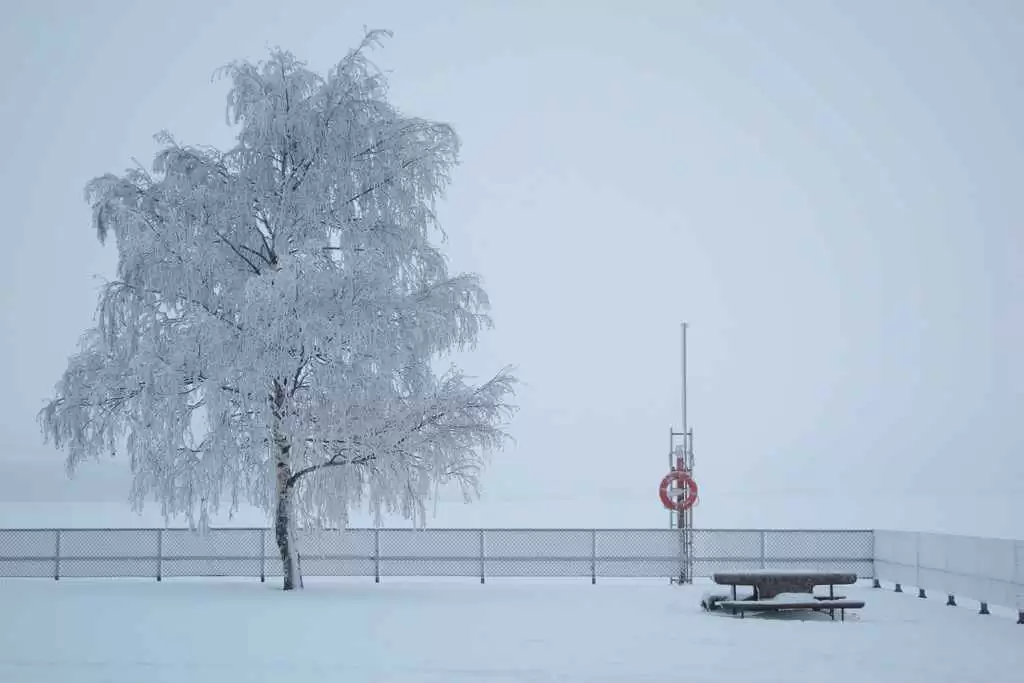 Open-Capsule Budesonide Offers Hope for Refractory Celiac Patients - Open-capsule budesonide is a promising treatment for managing refractory celiac disease. Photo: CC--Petteri Sulonen 