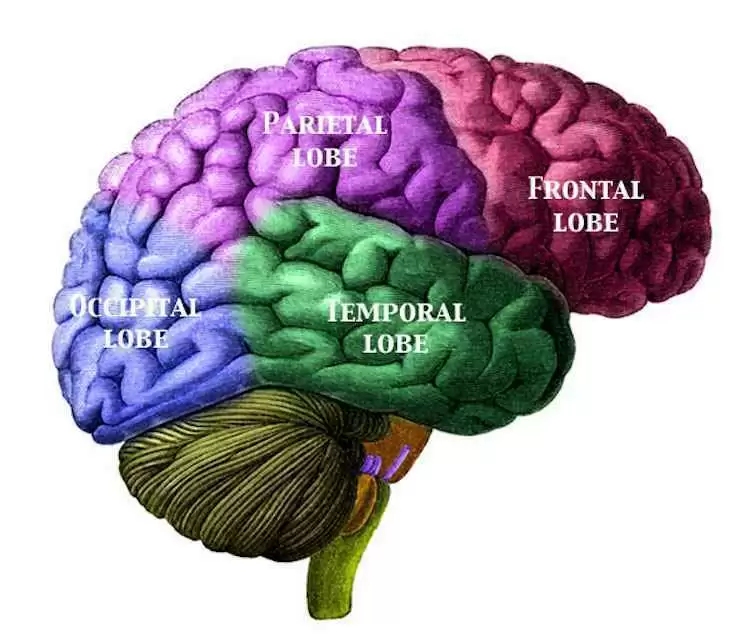 Can a Gluten-Free Diet Change Electrocortical Activity Associated with Celiac Disease? - Photo: CC--Affen Ajlfe