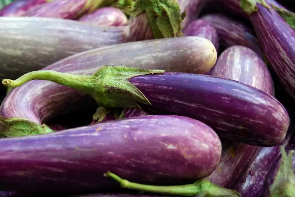 Gluten-free Eggplant Chickpea Stew