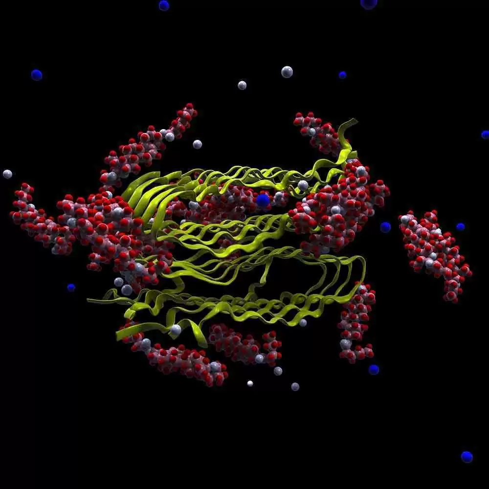 Protein Engineering May Fuel Breakthroughs in Celiac and Other Diseases 