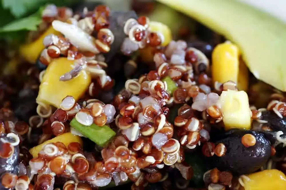 Quinoa Salad with Veggies and Red Wine Vinegar (Gluten-Free) - Image: CC--Stacy