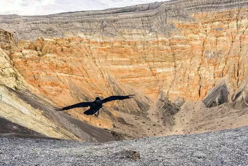 What Can We Learn About Celiac Disease Mortality from Southern Derbyshire, UK? - Death Valley. Image: CC--Peretz Partensky