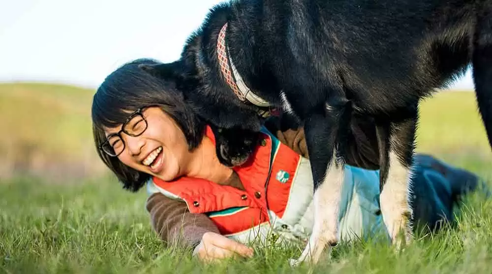 Hawkeye the Service Dog Sniffs Out Gluten for Sensitive Six-Year-Old