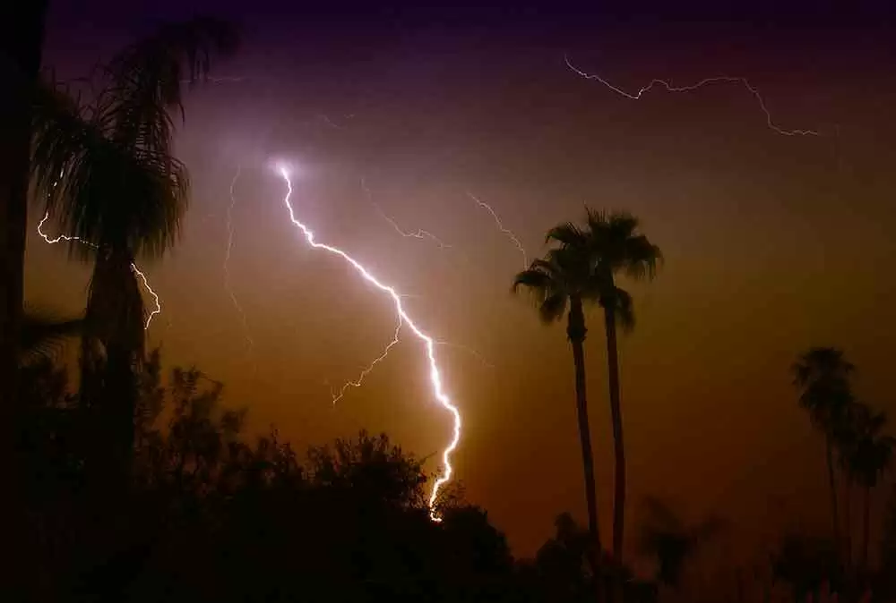 Is Electricity the Key to Baking Amazing Gluten-Free Bread in Minutes? - Image: CC BY-ND 2.0--Arizona Parrot