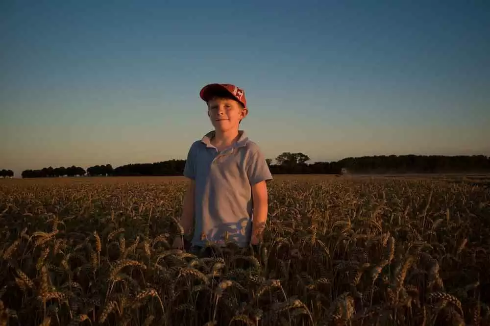 What Can We Learn From Self-Reported Non-Celiac Wheat Sensitivity and Gluten Avoidance? - Boy standing in a wheat field. Image: CC BY-SA 2.0-- Lars Plougmann