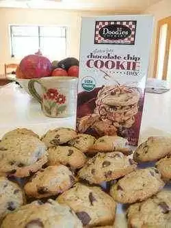 Doodles Cookies Gluten-Free Chocolate Chip Cookie Mix - 