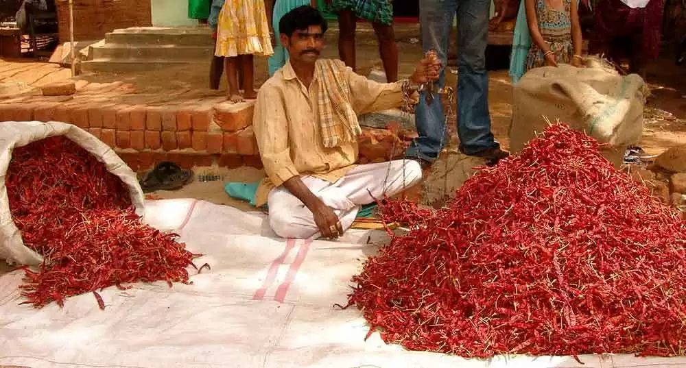 "Gluten-free" Grain-based Foods in India Contain Up to 90 Times Permitted Gluten Levels - Indian spice vendor. Image: CC BY 2.0--Bryce Edwards