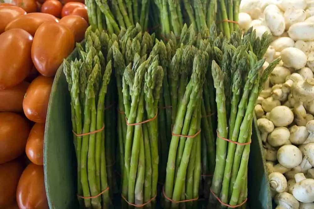 More information about "Gluten-Free Fresh Asparagus Patties"