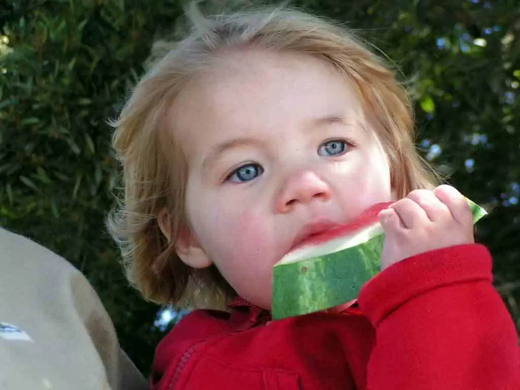 More information about "Bold and Refreshing Watermelon Pizza (Gluten-Free)"