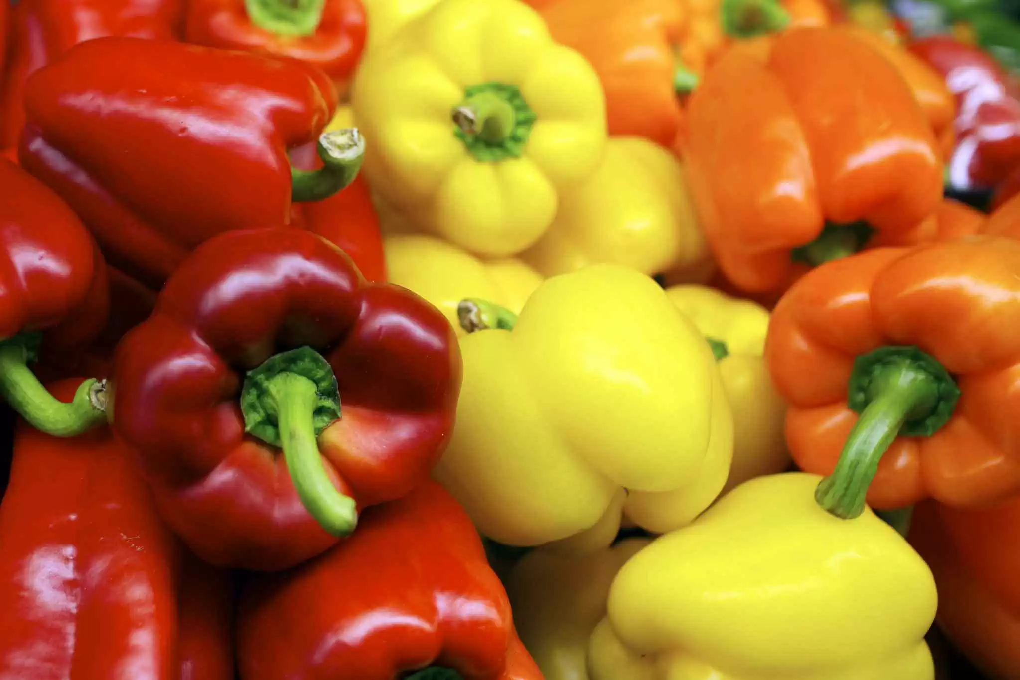 Gluten-Free Rainbow Stuffed Bell Pepper Soup - Image: CC BY 2.0--Au Kirk