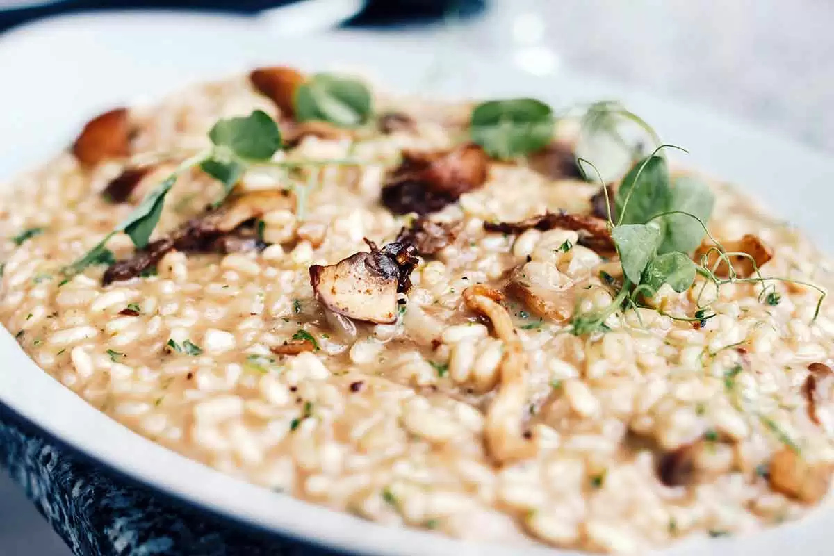 21+ Totk Vegetable Risotto Recipe