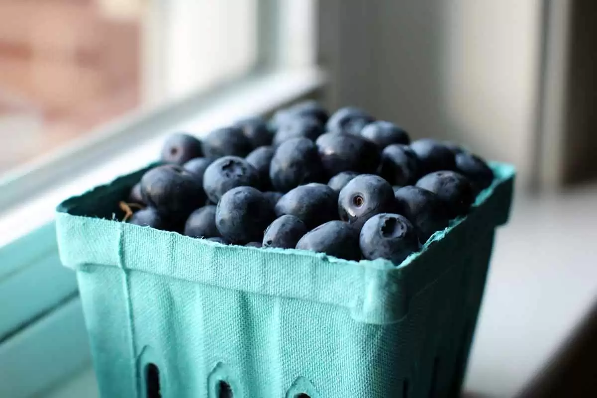 Fresh Blueberry Walnut Salad (Gluten-Free) - USDA Farmer's Market Blueberries. Image: CC BY-ND 2.0--Mr.TinDC