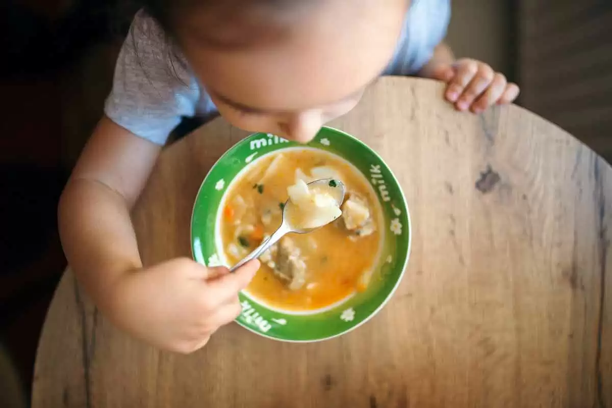 Gluten-Free French Spring Soup