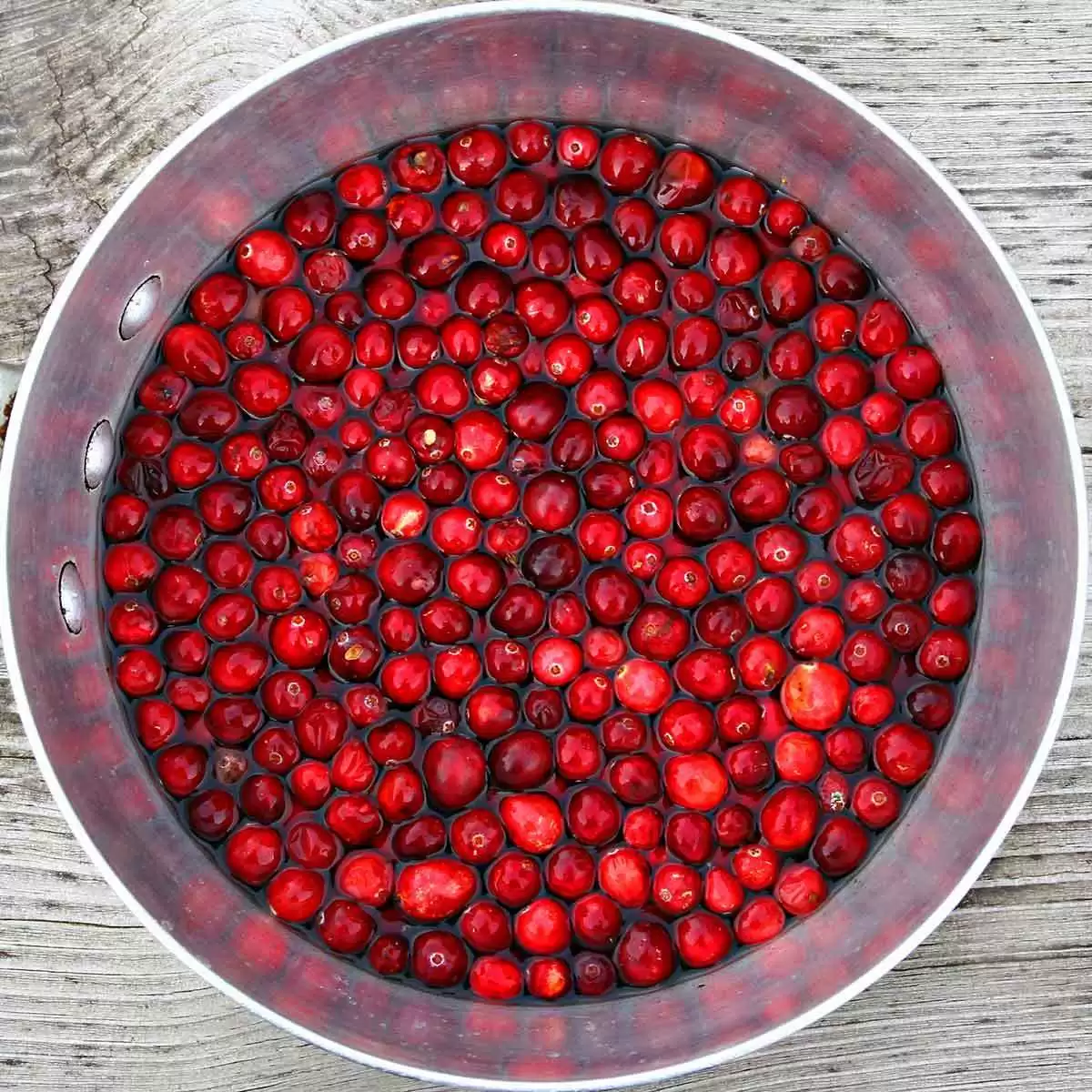 Gluten-Free No-Bake Holiday Cranberry Cheesecake