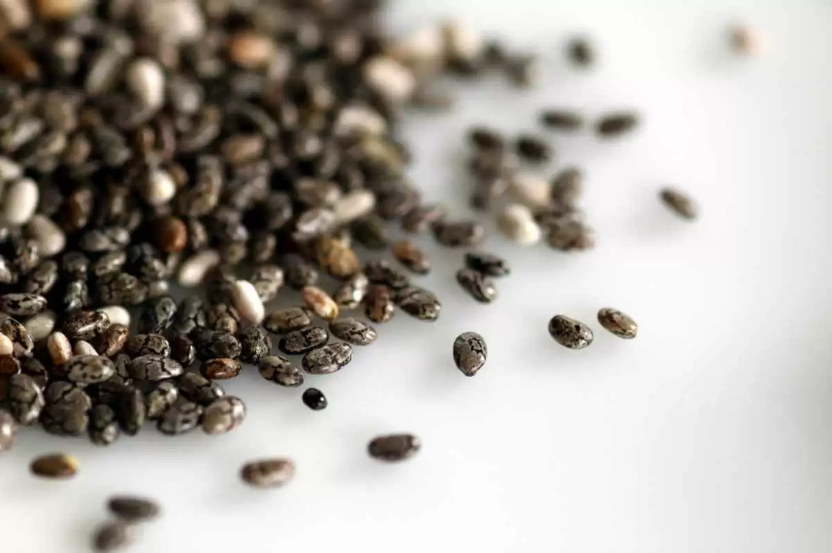 Top Gluten-Free Brands of Fiber Supplements - Chia seeds. Image: CC BY 2.0--Stacy Spensley