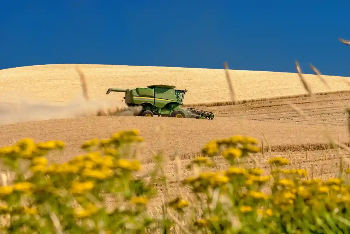 Wheat Industry Study Looks at How Expectations of Gluten Intake Could Affect Non-Celiac Gluten Sensitivity - Combine Harvesting Wheat by Knowles Gallery is licensed under CC BY 2.0.