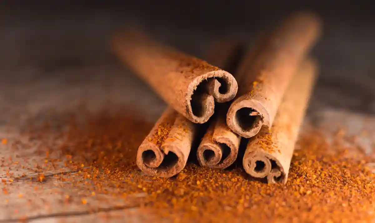 Exploring the Impact of Herbs and Spices on Gut Health