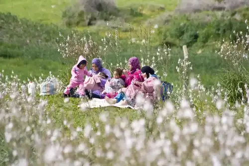 Celiac Disease and Autoimmune Diseases in a Pediatric Population: A Cross-Sectional Study - Spring picnic, near Moulay Idriss, Morocco by Dimitry B is licensed under CC BY 2.0.