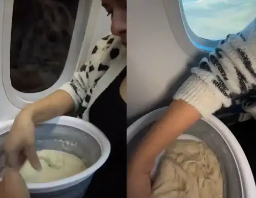 TikTok Influencer Slammed for Making Sourdough Wheat Bread on Commercial Airline Flight - Image: TikTok