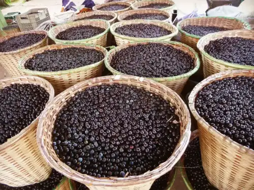 Is Açaí Gluten-Free? - File:Paneiros com açaí no porto de Igarapé-Miri.jpg by Railson Wallace is licensed under CC BY-SA 4.0.