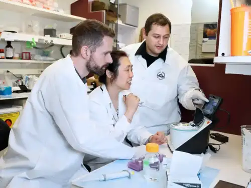 Breakthrough Study on Gluten-Dependent Activation of T-Cells Offers Hope for Celiac Disease Treatment (+Video) - Achim Werner Intramural Research Lab by NIDCR is marked with Public Domain Mark 1.0.++ Watch the Video ++