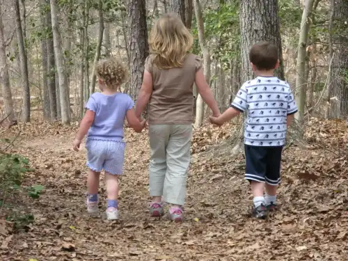 Simplifying Diagnosis of Celiac Disease in Children: A Study on Serology Tests (+Video) - Children Walking on Trail by vastateparksstaff is licensed under CC BY 2.0.++ Watch the Video ++